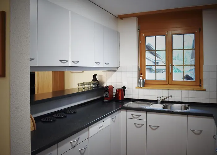 Vidolica Mountain 公寓 劳特布龙嫩